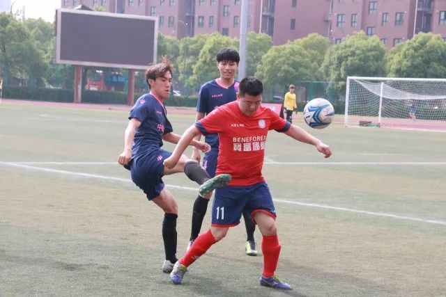 属羊人迎来下半生重要转折期：2026-2028年